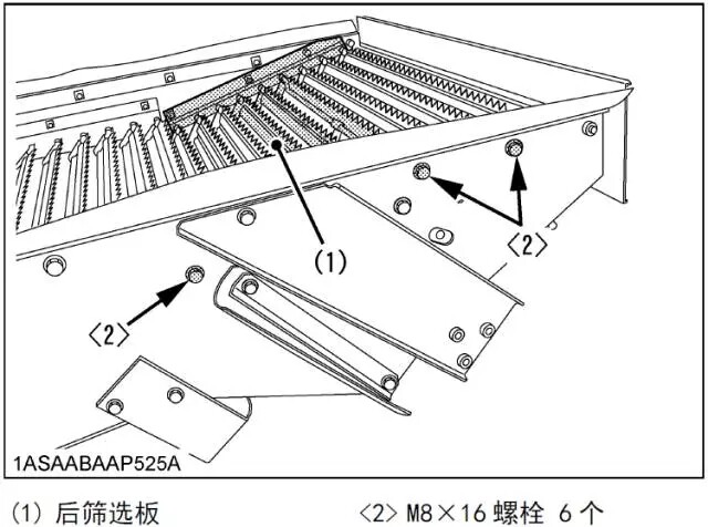 640.webp (6).jpg