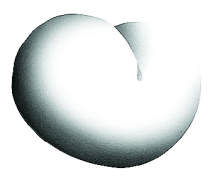 66.png
