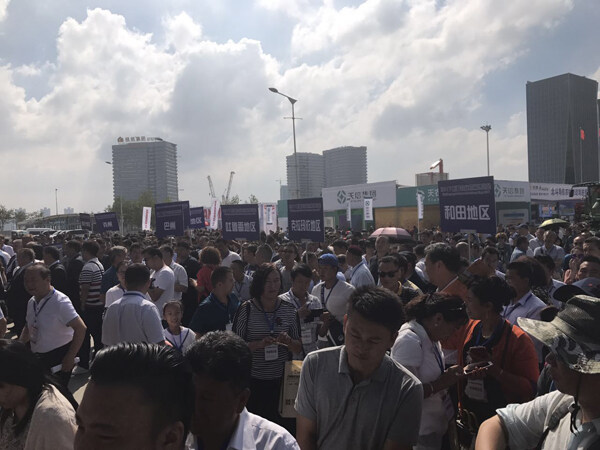 专业观众2.jpg