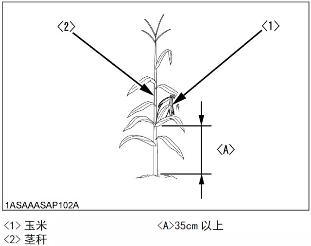 640.webp (12).jpg