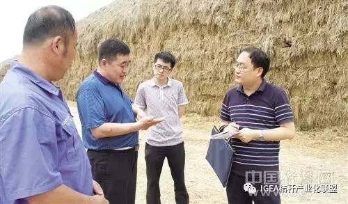 微信图片_20170815145803.jpg