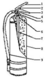 640.webp (9).jpg