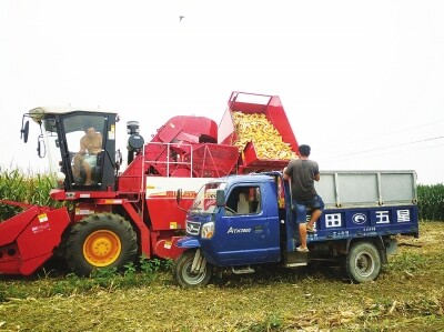 雷沃谷神玉米机定提机火爆.jpg
