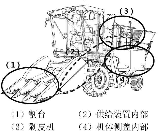 11.webp (1).jpg