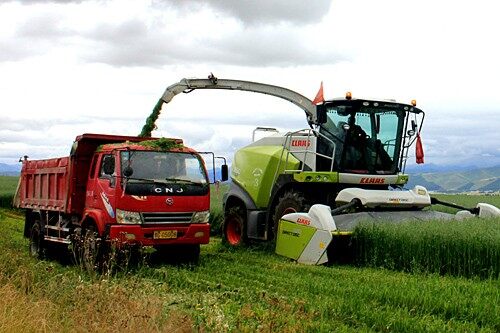 青海全力推进牧草生产全程机械化.jpg