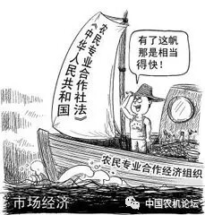 640.webp (4).jpg