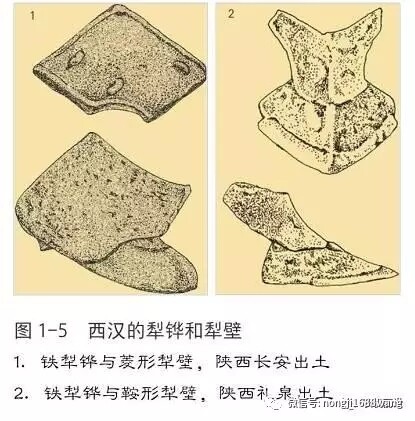 640.webp (4).jpg