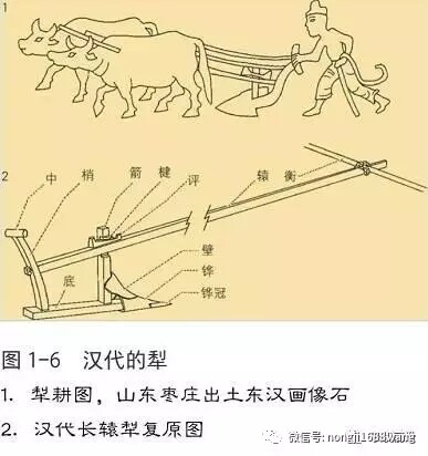 640.webp (5).jpg