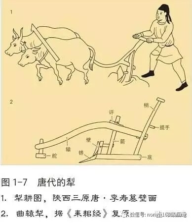 640.webp (6).jpg