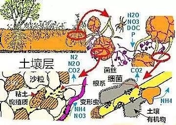 0.webp (2).jpg