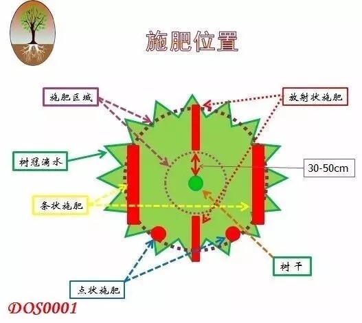 0.webp (4).jpg