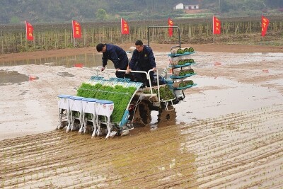 三减量”33.jpg
