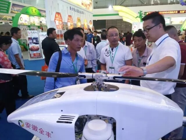 3.webp.jpg