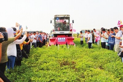 我国花生机械从“有机可用”迈进“有机好用”.jpg