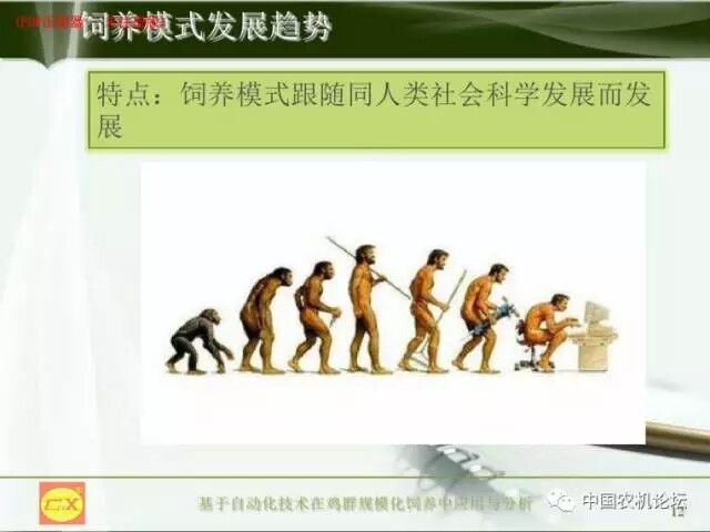 1.webp.jpg