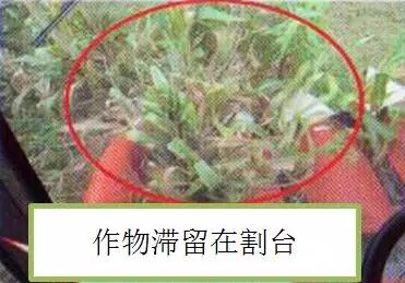 640.webp (2).jpg