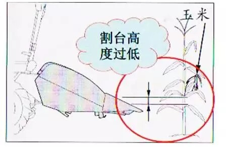 640.webp (12).jpg