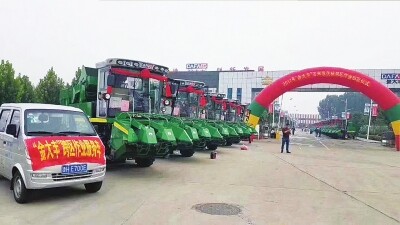 解密金大丰逆势上扬的背后11.jpg