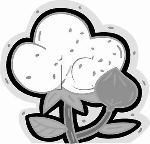 640.webp (2).jpg