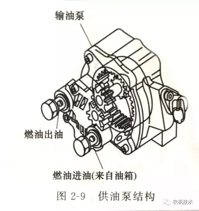 640.webp (3).jpg