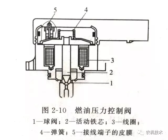 640.webp (4).jpg