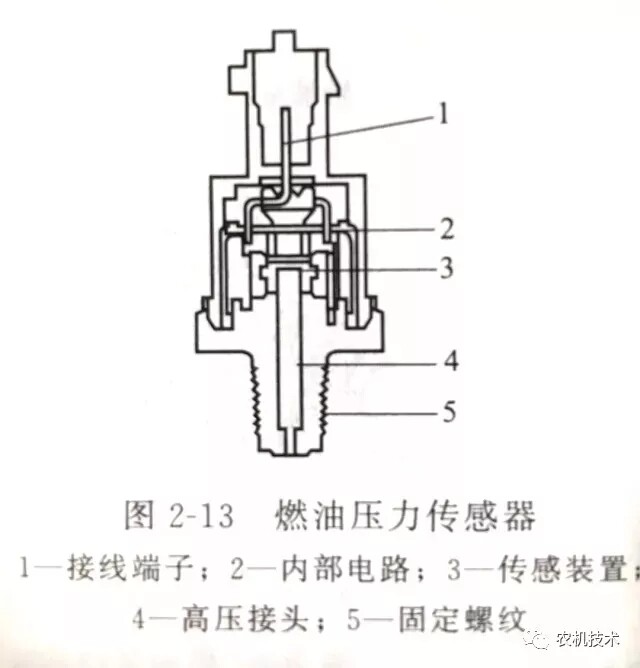 640.webp (1).jpg