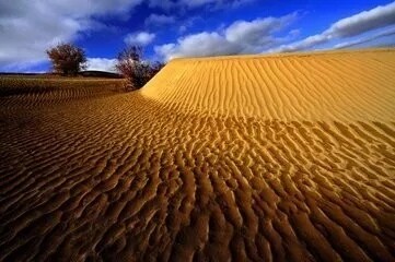 640.webp (3).jpg