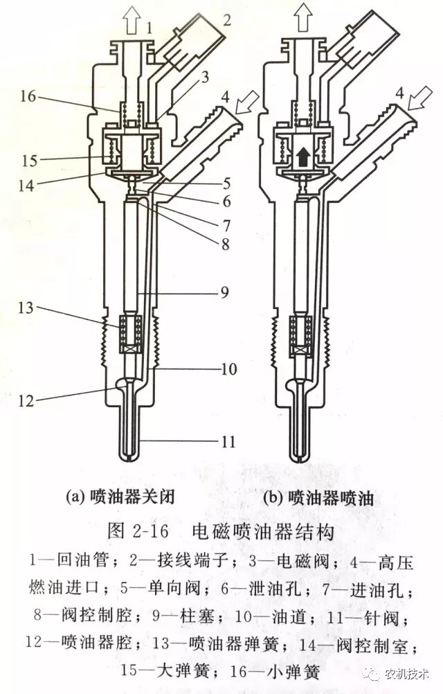 640.webp (6).jpg