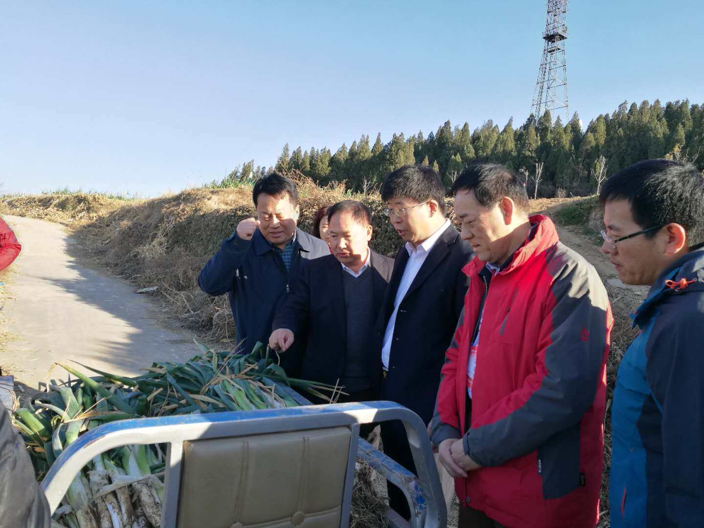 微信图片_20171120104746.jpg