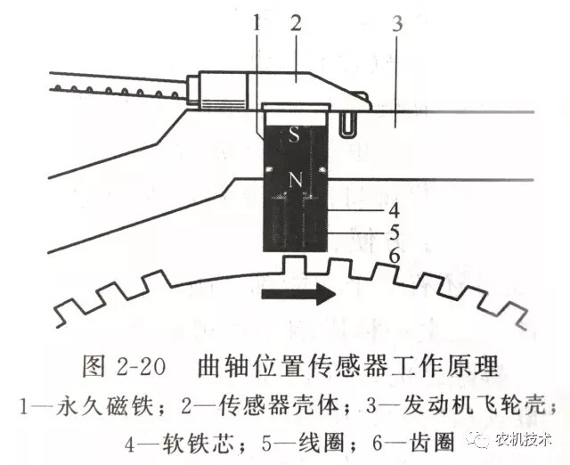 640.webp (3).jpg