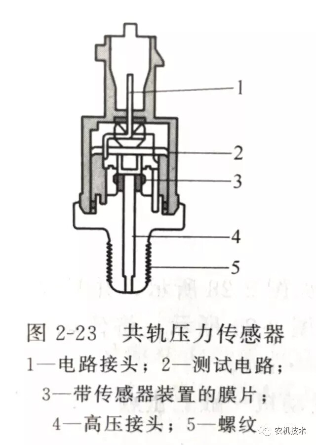 640.webp (7).jpg