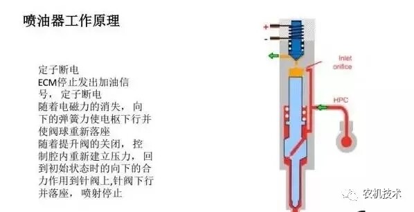 640.webp (11).jpg