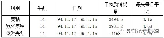 640.webp (1).jpg
