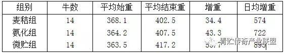 640.webp (2).jpg