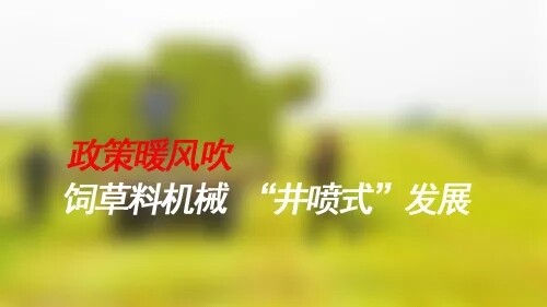 360se_picture.webp.jpg
