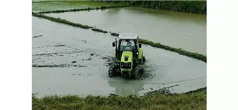 640.webp (6).jpg 640.webp (6).jpg