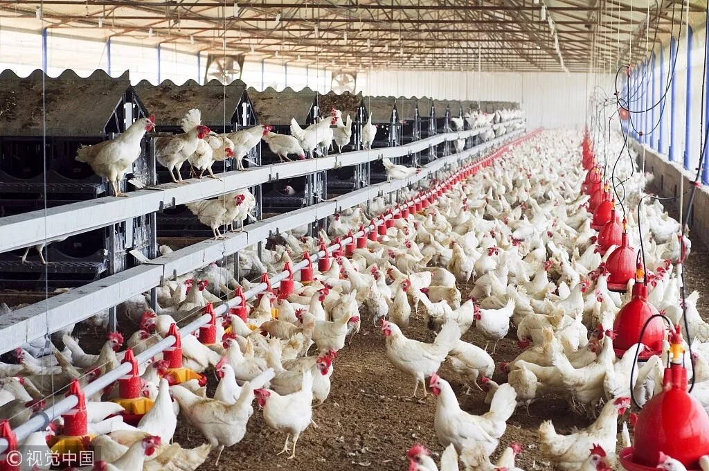 640.webp (32).jpg 640.webp (32).jpg