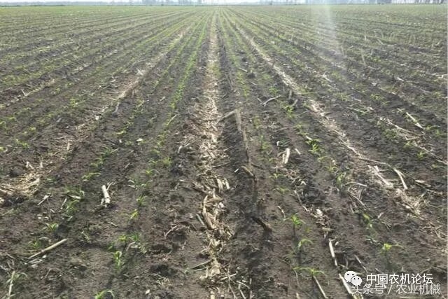 640.webp (63).jpg 640.webp (63).jpg