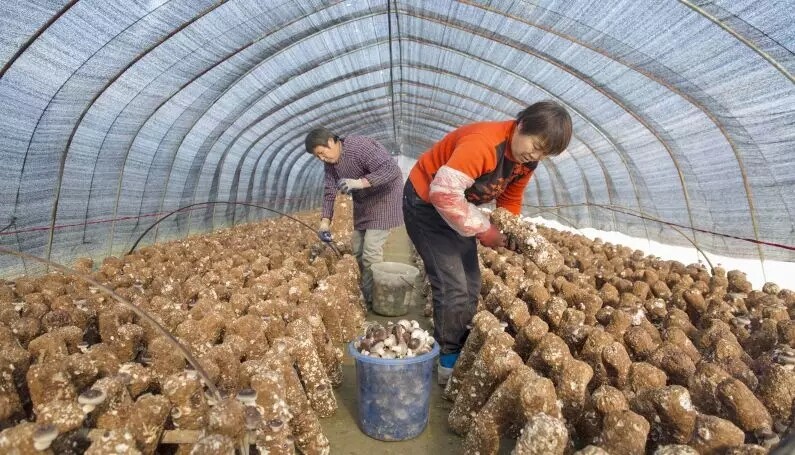 640.webp (7).jpg 640.webp (7).jpg