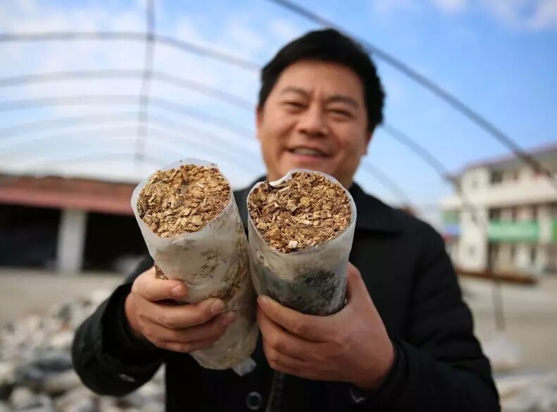 640.webp (8).jpg 640.webp (8).jpg