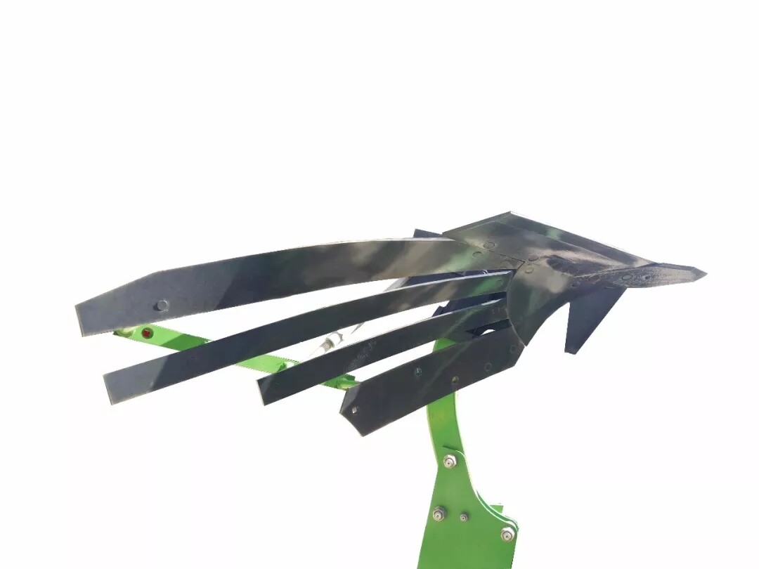 55.webp.jpg