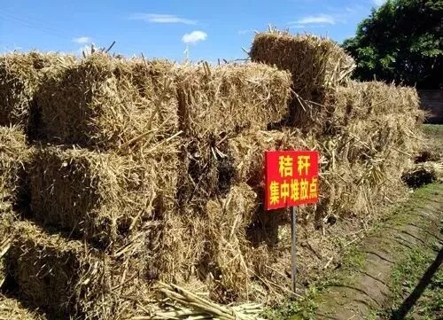 640.webp (55).jpg 640.webp (55).jpg