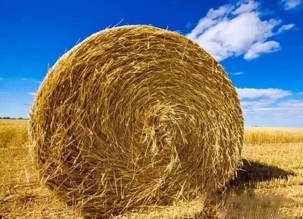 640.webp (57).jpg 640.webp (57).jpg