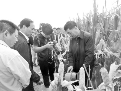 赵玉国:种田“真经”乐分享.jpg 赵玉国:种田“真经”乐分享.jpg