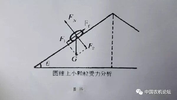 640 (1).webp (9).jpg