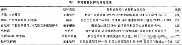640.webp (40).jpg