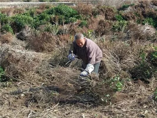 640.webp (8).jpg 640.webp (8).jpg