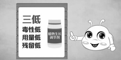 几种代表性植调剂应用技术.jpg