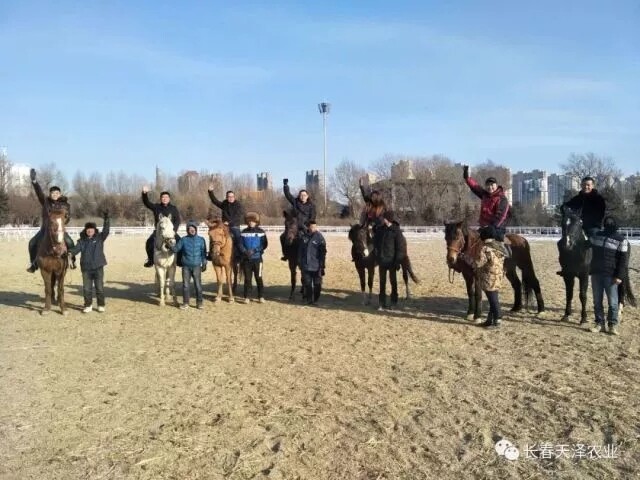 640 (1).webp (9).jpg