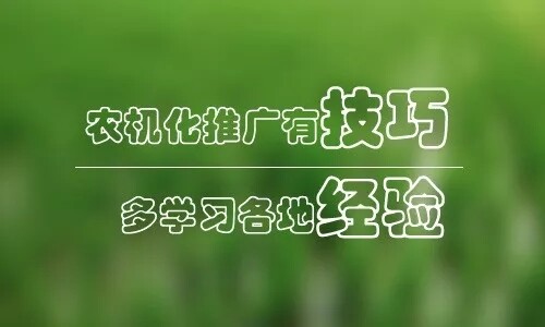 640 (1).webp (41).jpg